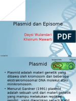 Plasmid Dan Episome