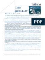 02 Texto Impreso - Los Delfines Forman "Pandillas" - Artículo Científico