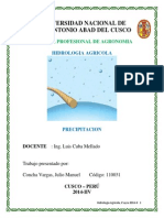 Precipitation Spanish.pdf