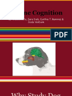 Canine Cognition Presentation