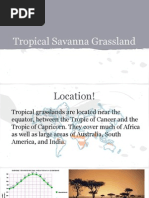 Tropical Savanna PDF