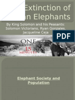 Near Extinction of African Elphants