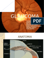 Glaucoma Grupo 1 2