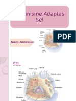 Adaptasi Sel