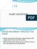 Plant Excretion