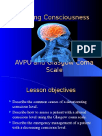 Assessing Consciousness