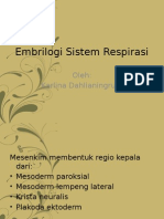 Embrilogi Sistem Respirasi