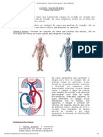 Aula de Anatomia - Sistema Cardiovascular - Vasos Sangüíneos