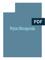 Phylum Microsporidia