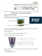 ExercÃ-cios [1Âª V.A.]