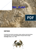 Paleontologi Fosil Jejak 13