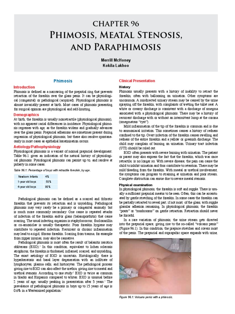Phimosis Etc. PDF Circumcision Urology