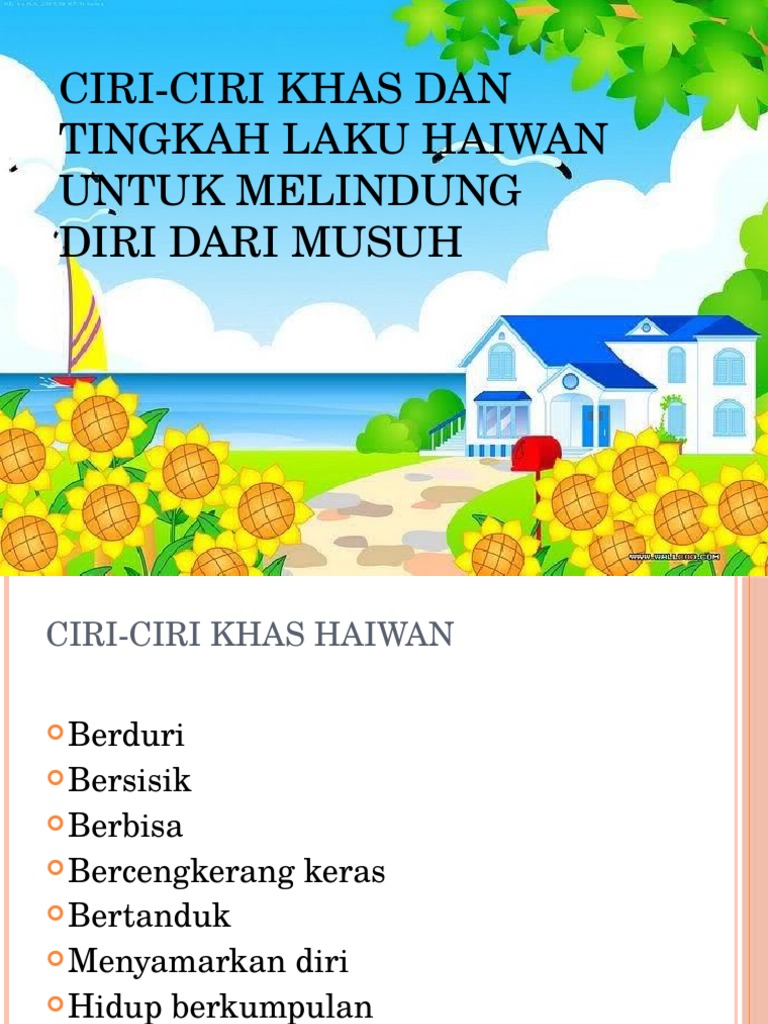 Ciri Dan Tingkah Laku Khas Haiwan Untuk Melingung Pdf