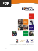 Presentación Corporativa SOMITAL 