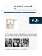 Ruptura Ligamentului Incrucisat Anterior