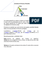 Características de Prismas y Pirámides