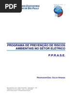PPRA Elétrica.pdf