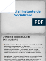 Agenţi Şi Instanţe de Socializare