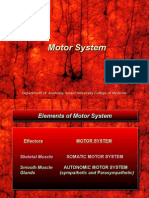 Motor System.ppt