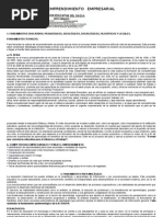 AREA DE EMPRENDIMIENTO.docx