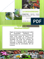 La Biodiversidad