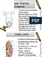 Trauma Urogenital