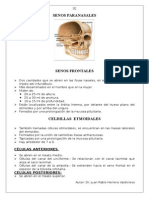 Senos paranasales y configuración del cráneo