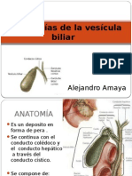 vesicula-biliar-2.pptx