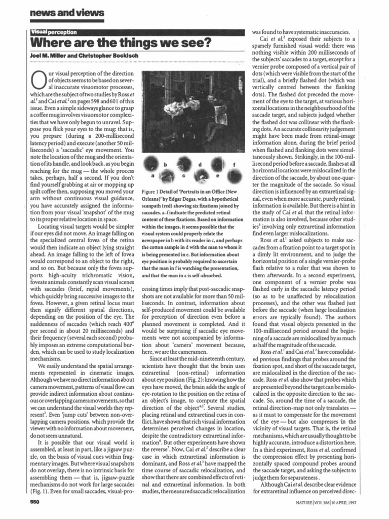 Visual Perception and Saccadic Movements | PDF | Philosophy