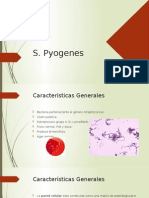 Microbiologia Clinica S. Pyogenes
