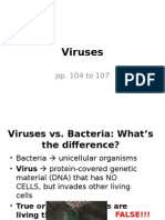 2 10 Viruses