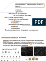 Anomalías Cromosómicas