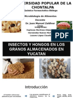 Insectos y Hongos en Los Granos Almacenados En