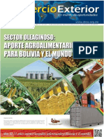 Ce 207 Sector Oleaginoso Aporte Agroalimentario Bolivia Mundo