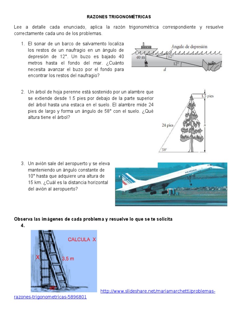 Resultado de imagen para un arbol sostenido por un alambre