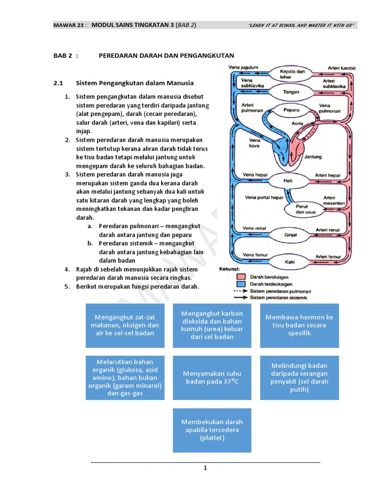 Modul Sains Tingkatan 3  Bab 2  PDF