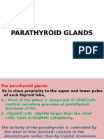 Pathology Parathyroid Glands