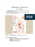 Fiziologia circulatiei