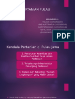 KENDALA PERTANIAN PULAU JAWA.ppt