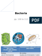 3 2 Bacteria