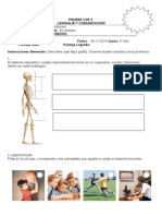 Prueba Cof 2 de Ciencias