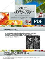 Raices Etnobotanicas de Mexico