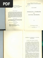 Formação e Problema Da Cultura Brasileira