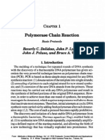  PCR Protocols