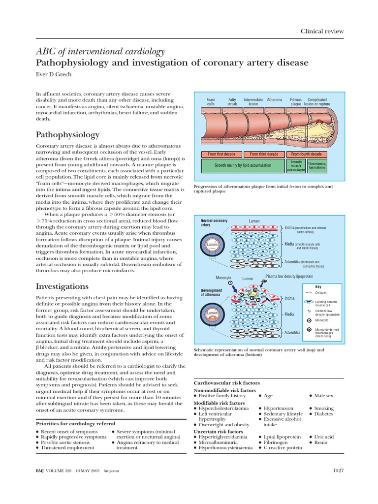 Pathophysiology and Investigation of Coronary Artery Disease | PDF ...