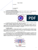 Nucleul