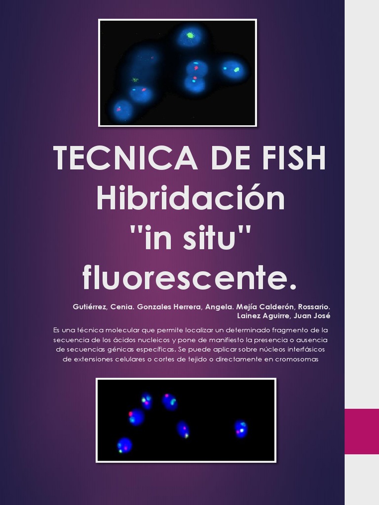 Técnica FISH: Hibridación In Situ Fluorescente | PDF | Hibridación in ...