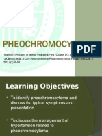 Pheochromocytoma