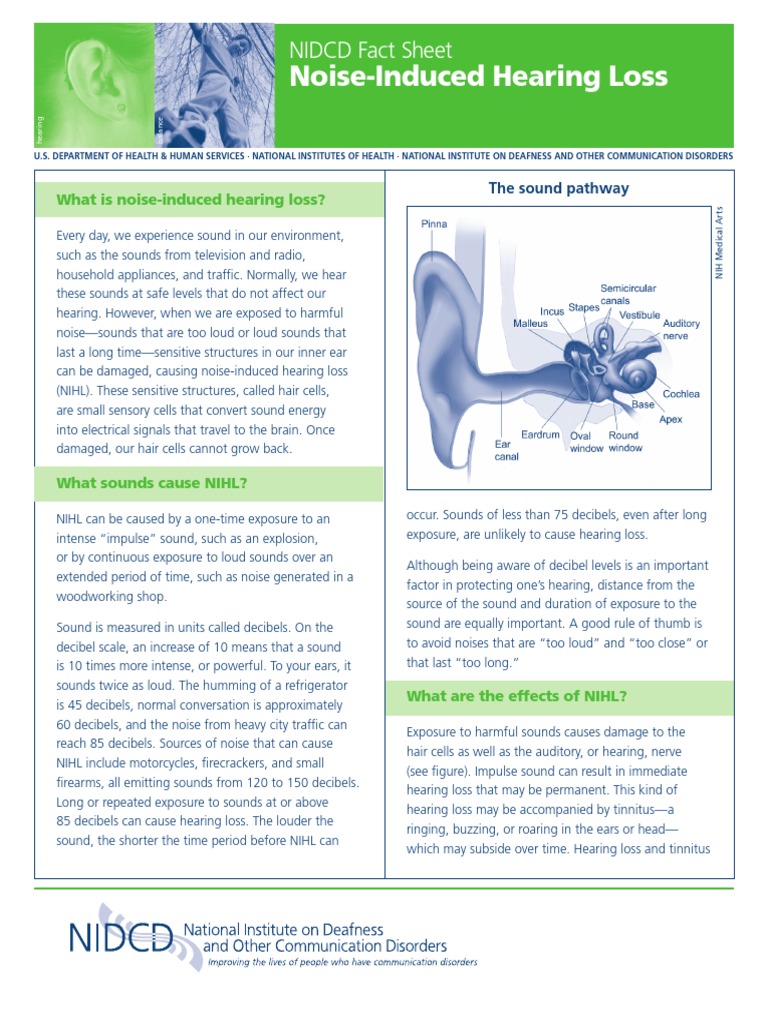 Noise Induced Hearing Loss PDF Hearing Loss Hearing