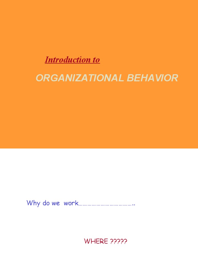 Introduction to Organizational Behavior | PDF | Business